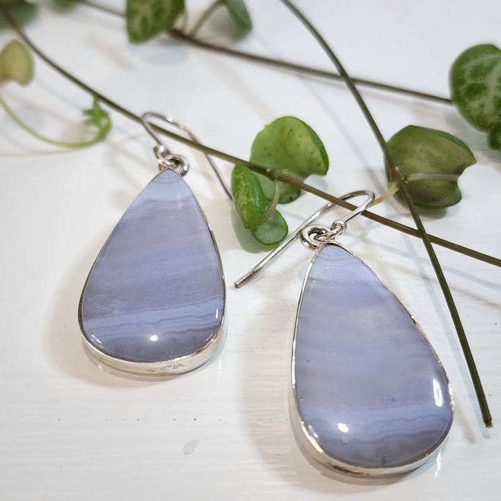Blue Lace Agate Earrings set in 925 Sterling Silver