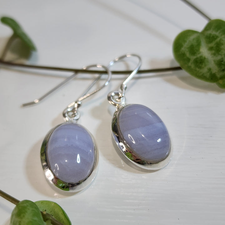 Blue Lace Agate Earrings set in 925 Sterling Silver