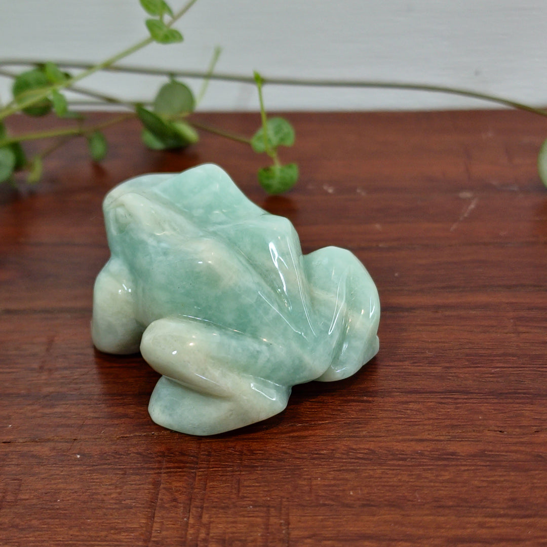 Amazonite - Frog