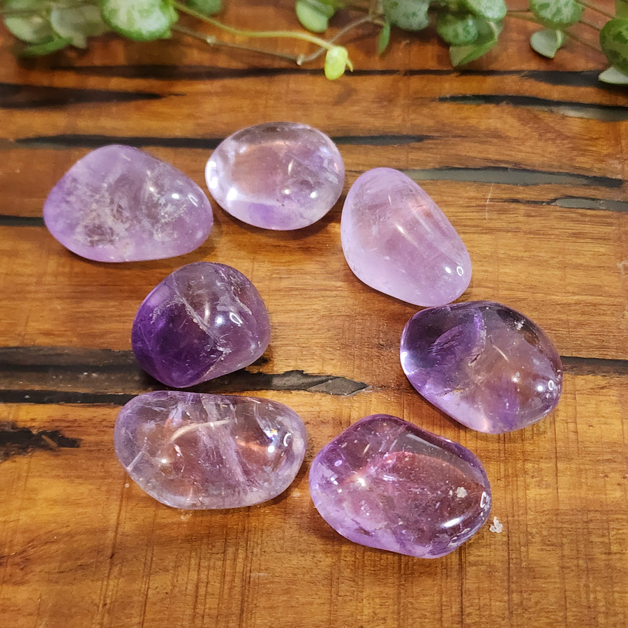 Amethyst - Tumbled Medium - Mel'z Place