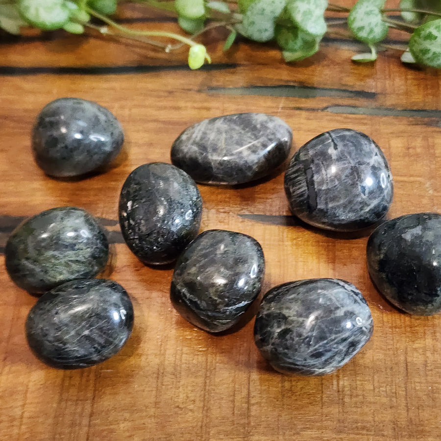 Anorthosite - Tumbled - Mel'z Place