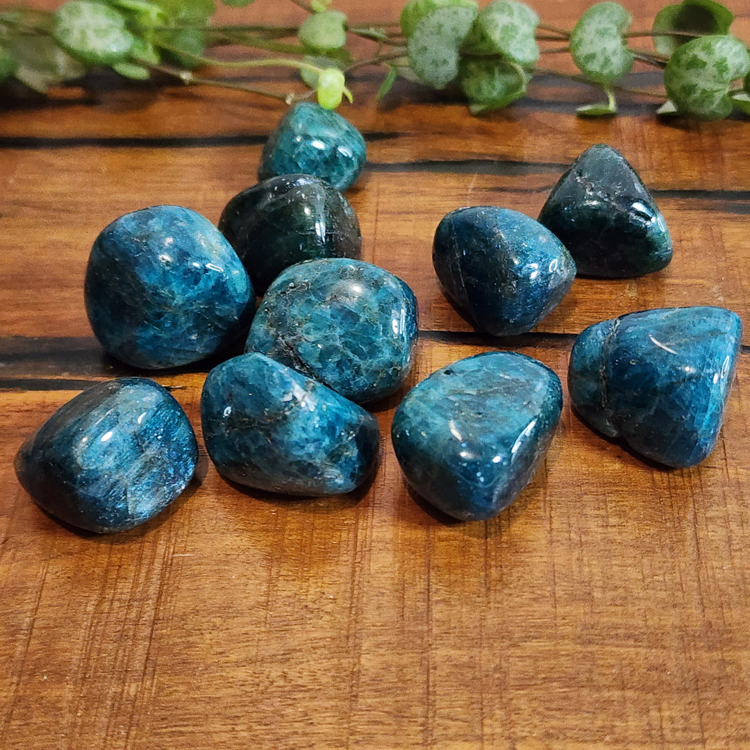 Apatite - Tumbled