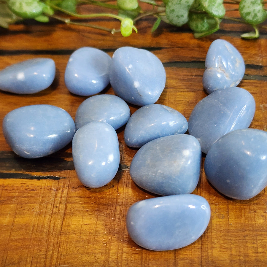 Angelite - Tumbled - Mel'z Place