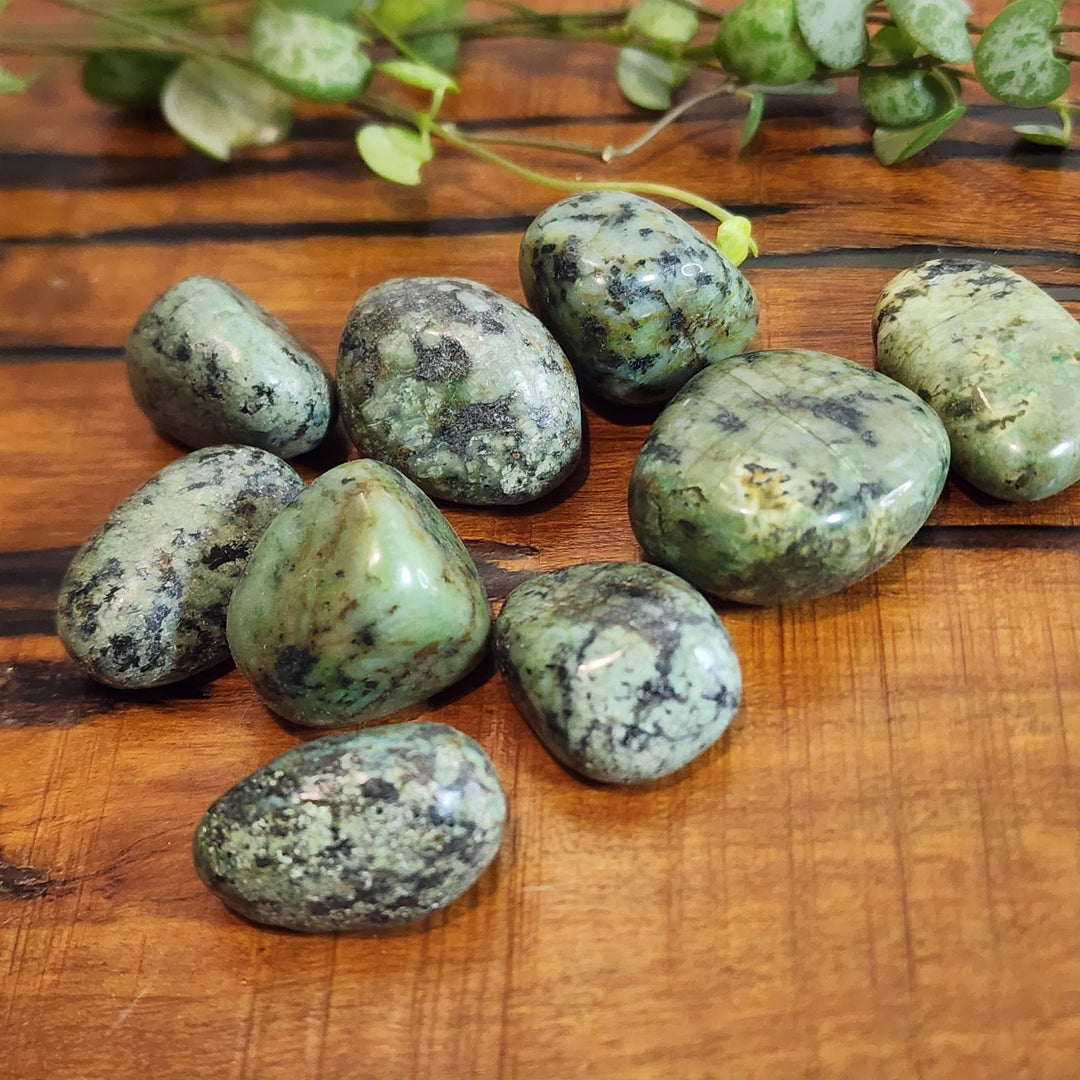 African Turquoise - Tumbled