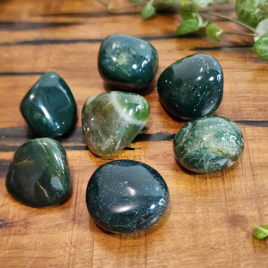 Bloodstone - Tumbled - Mel'z Place