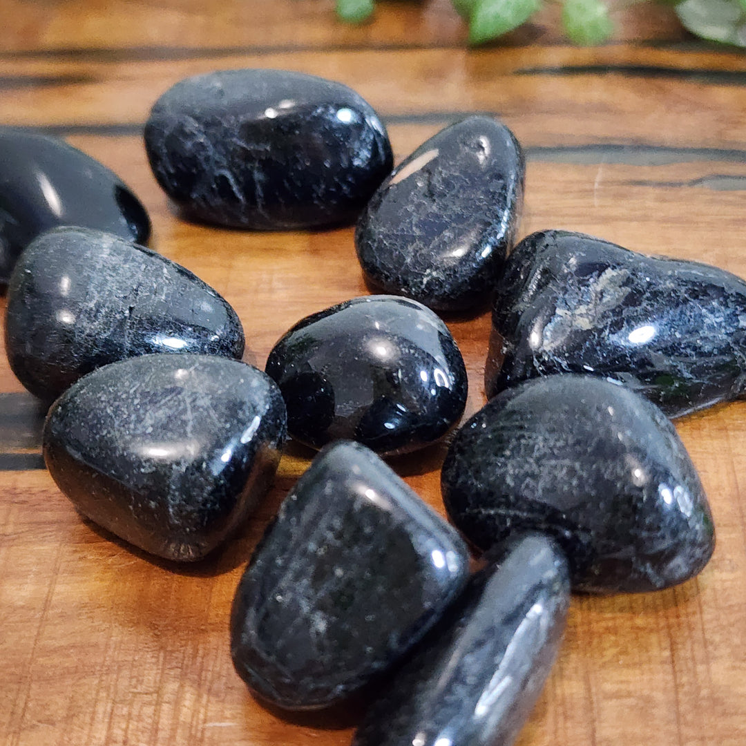 Black Tourmaline - Tumbled