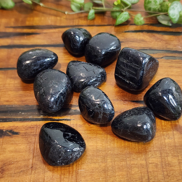 Black Tourmaline - Tumbled