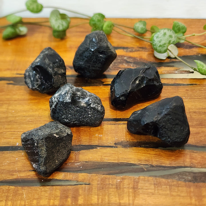 Apache Tear Obsidian - Raw - Mel'z Place