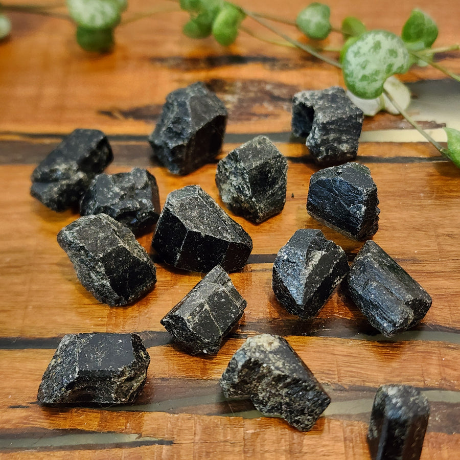 Black Tourmaline - Raw - Mel'z Place