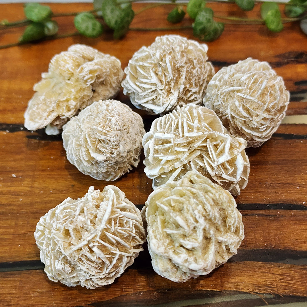 Desert Rose Selenite - Natural - Mel'z Place