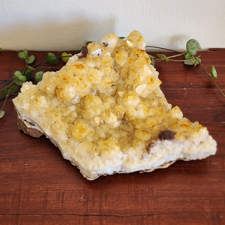 Citrine - Cluster