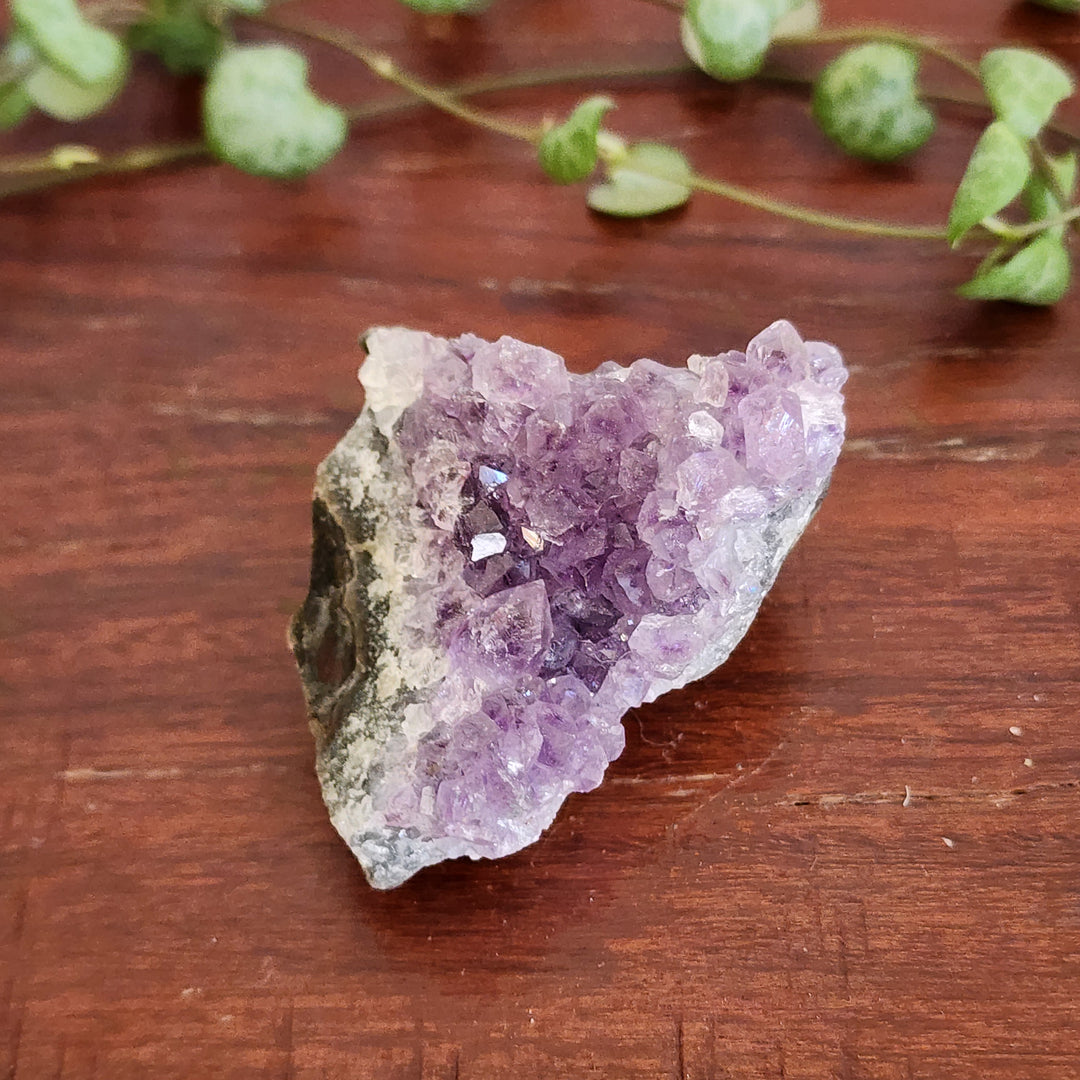 Amethyst - Cluster
