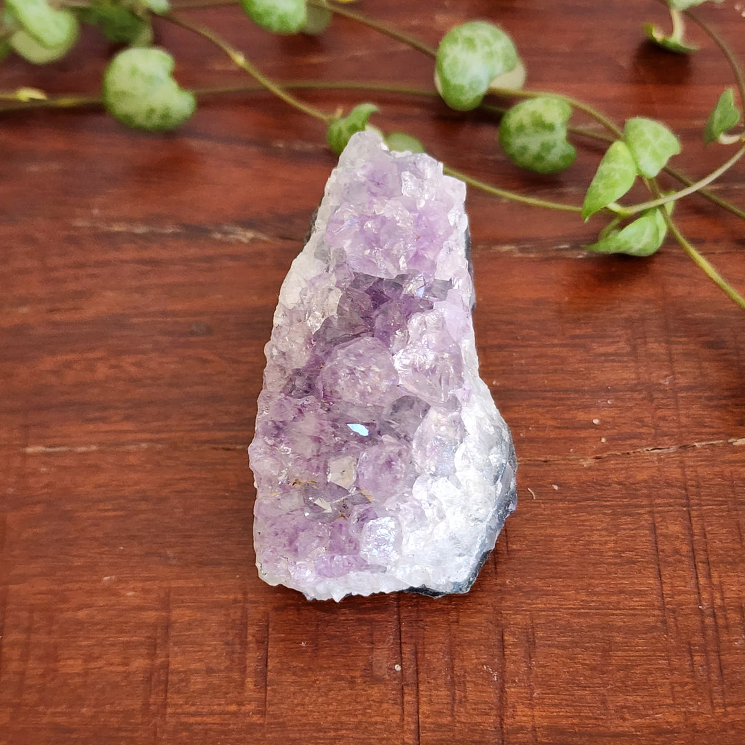 Amethyst - Cluster