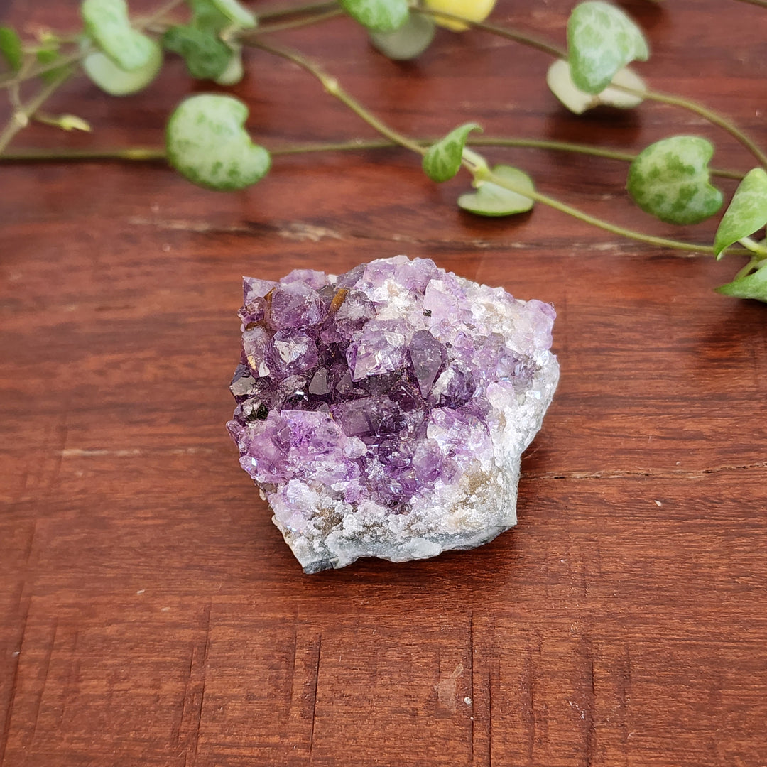 Amethyst - Cluster