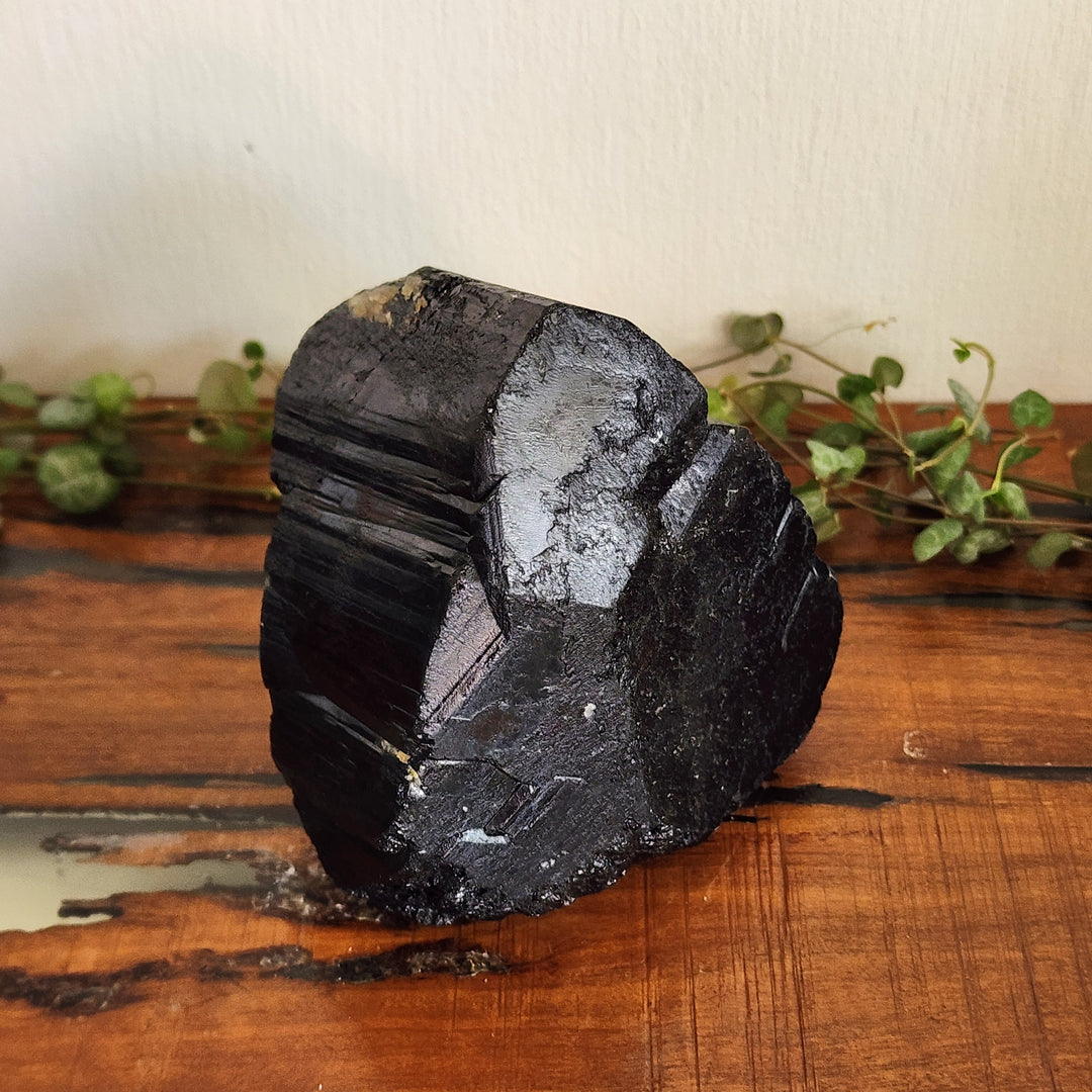 Black Tourmaline - Raw