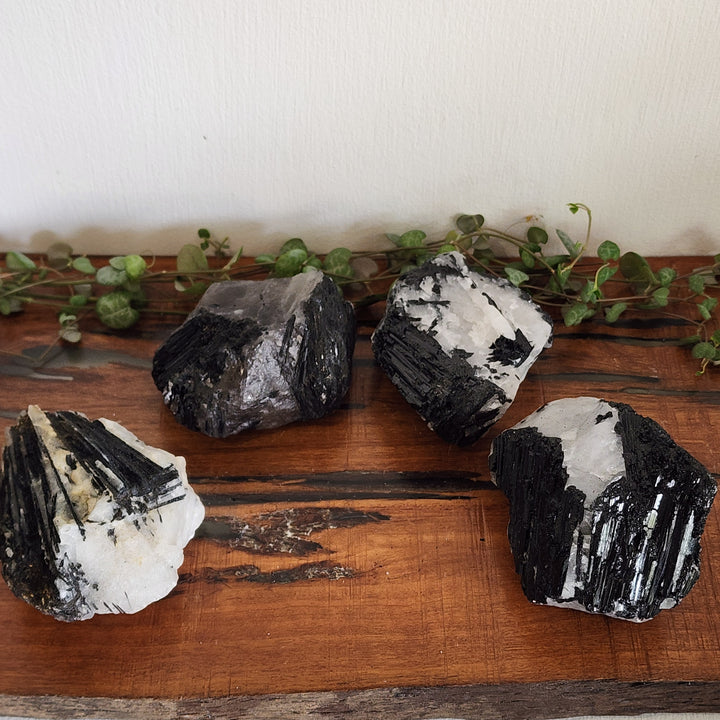 Black Tourmaline in Quartz - Raw