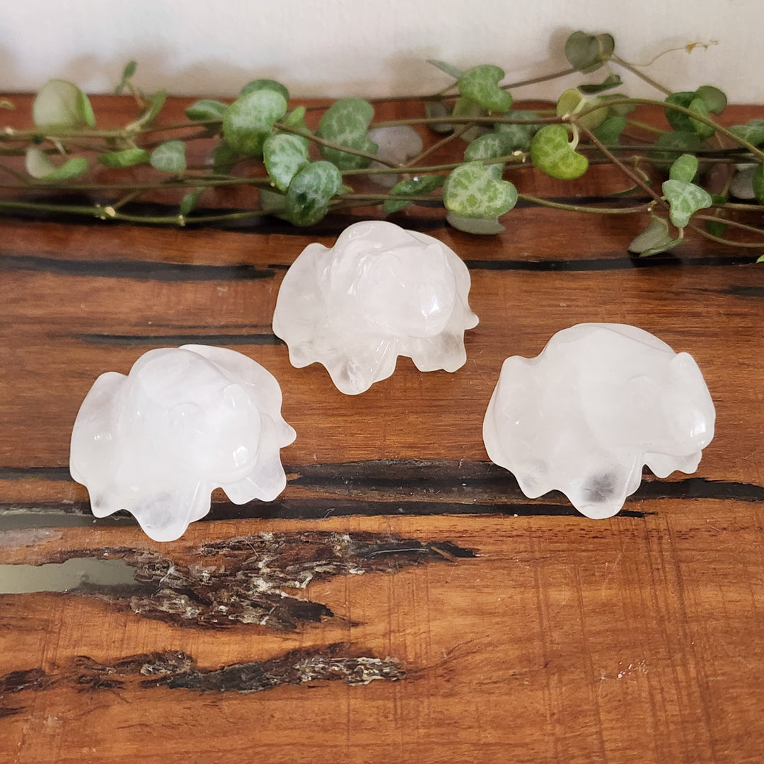 Quartz - Frog