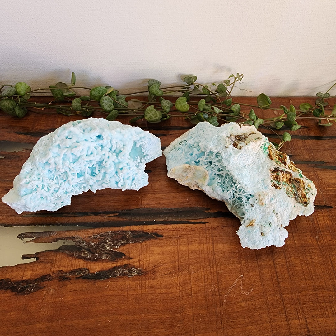 Blue Aragonite - Specimen