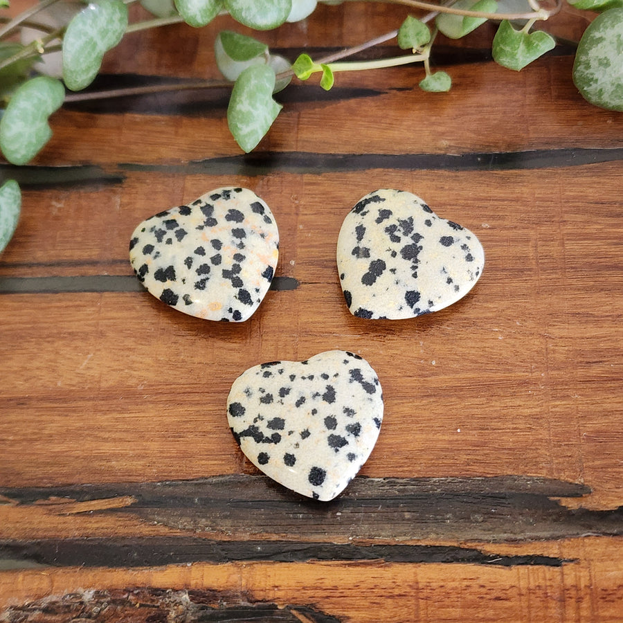Dalmation Jasper - Heart 20mm - Mel'z Place