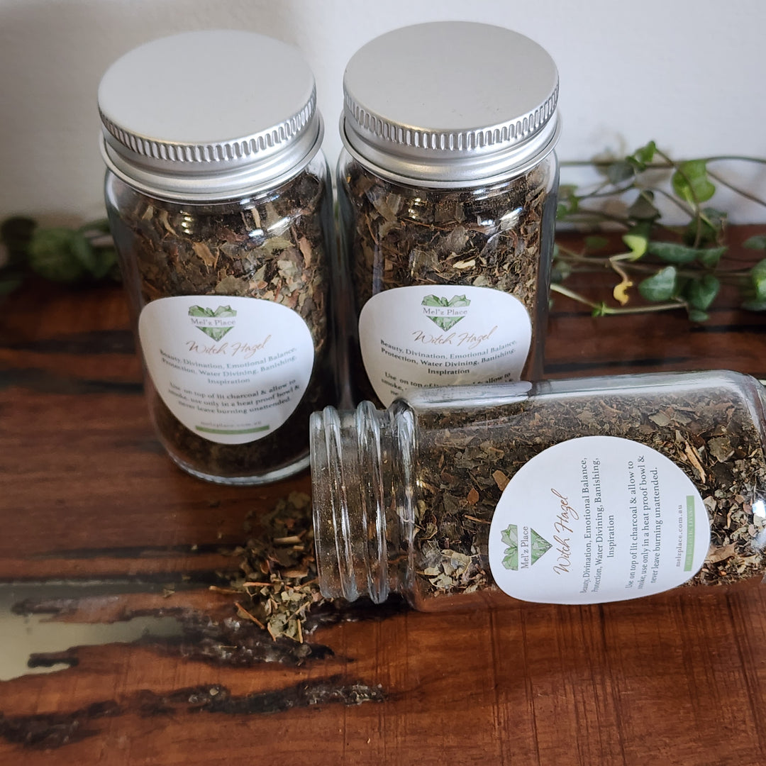 Witch Hazel Herb