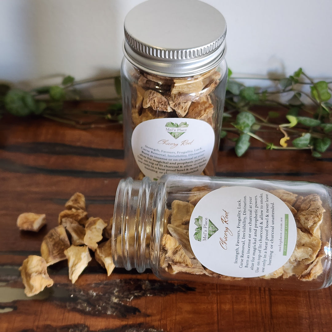 Chicory Root