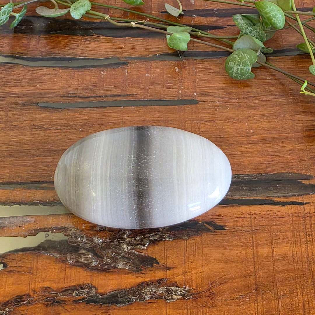 Black Banded Onyx - Palm Stone