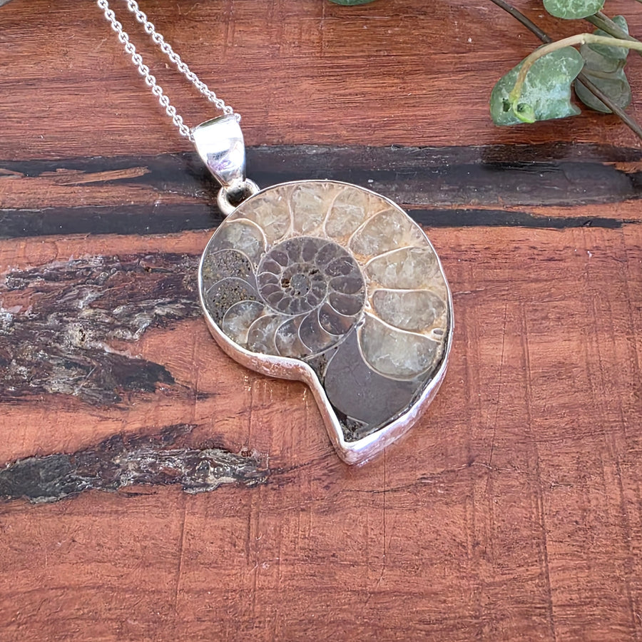 Ammonite Fossil Pendant set in 925 sterling silver
