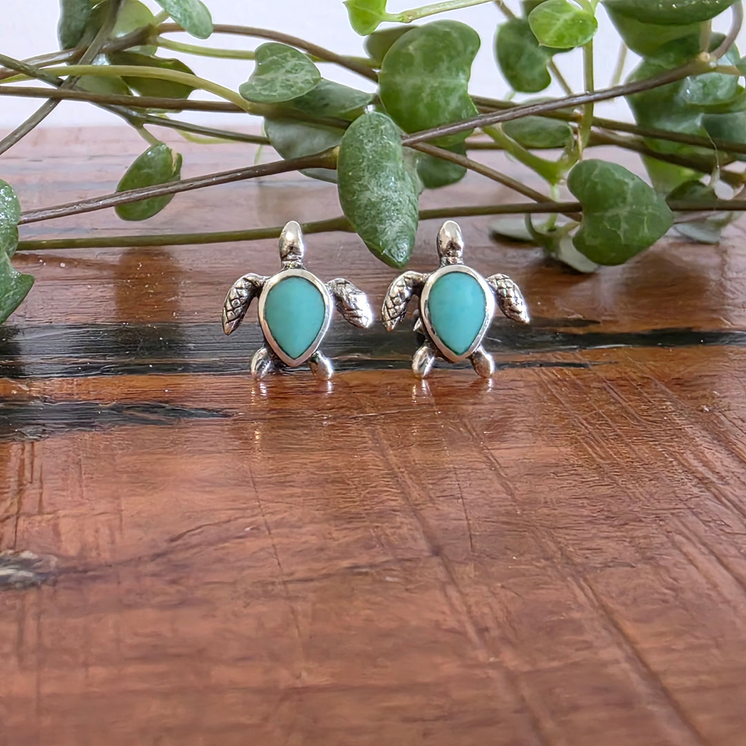 Kingman Turquoise Tortoise Stud Earrings Set in 925 Sterling Silver