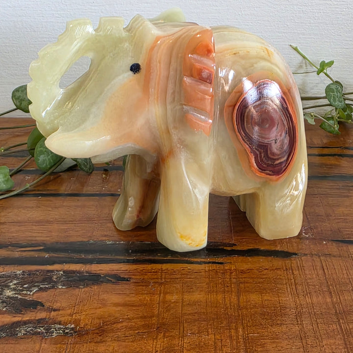 Rainbow Onyx - Elephant
