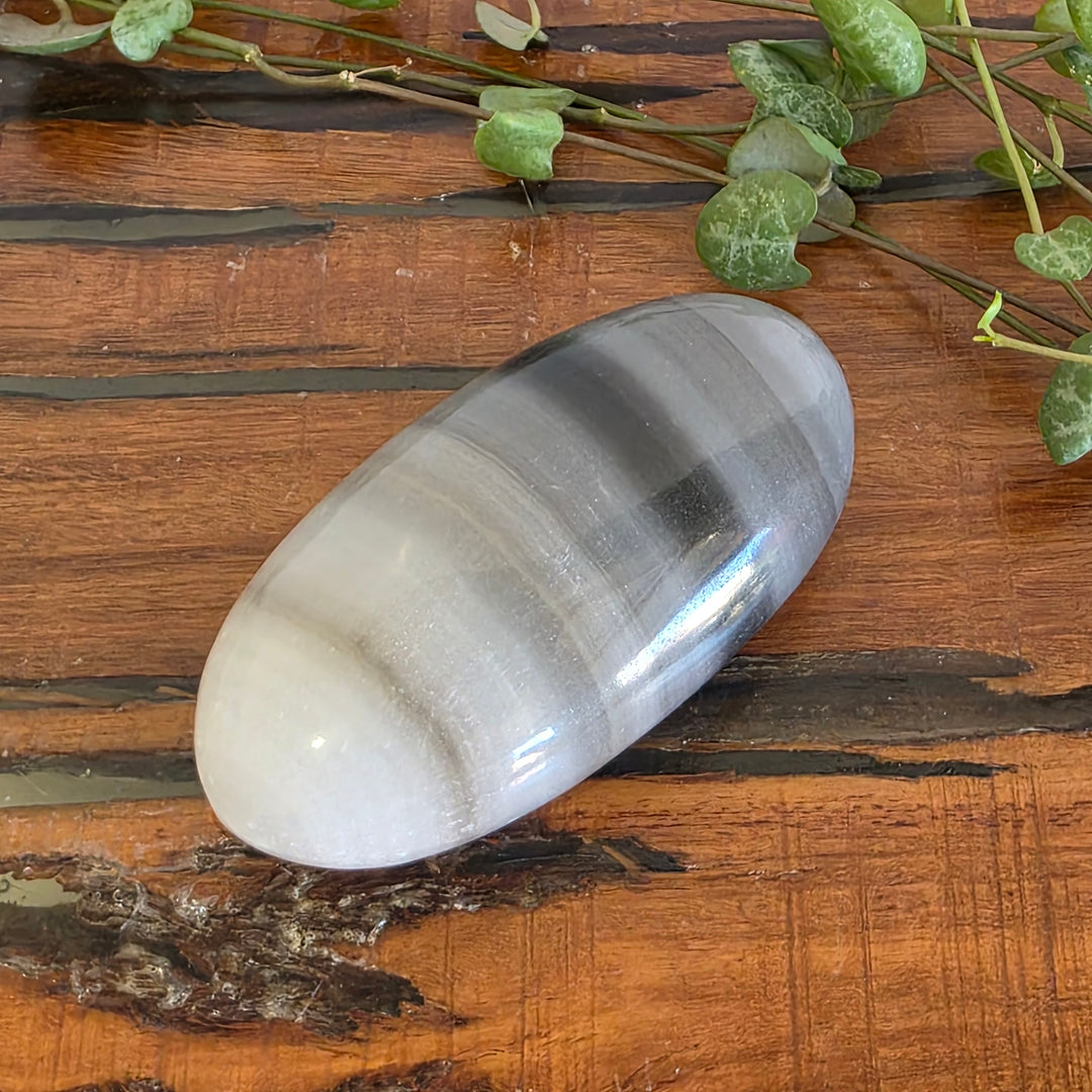 Black Banded Onyx - Palm Stone