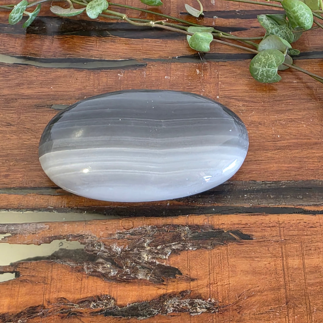 Black Banded Onyx - Palm Stone