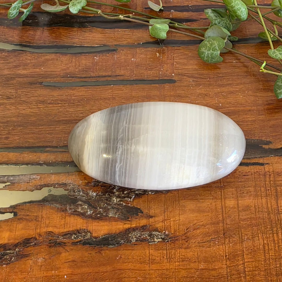 Black Banded Onyx - Palm Stone