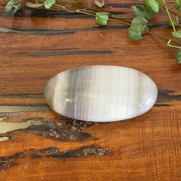 Black Banded Onyx - Palm Stone