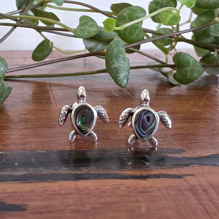 Paua Shell Tortoise Stud Earrings Set in 925 Sterling Silver