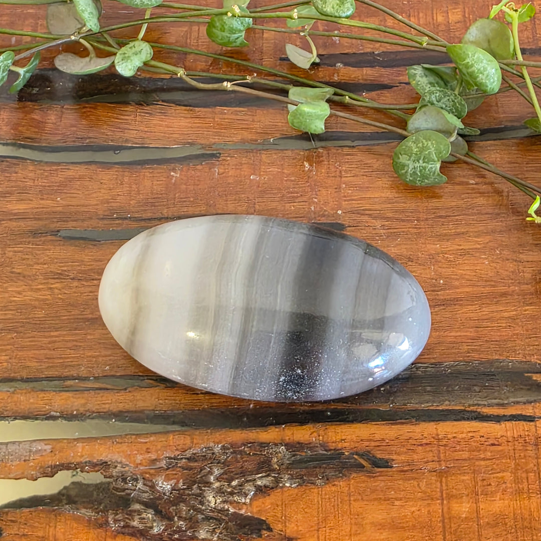 Black Banded Onyx - Palm Stone