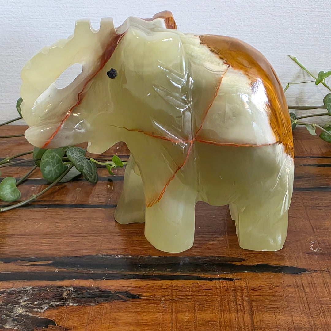 Rainbow Onyx - Elephant