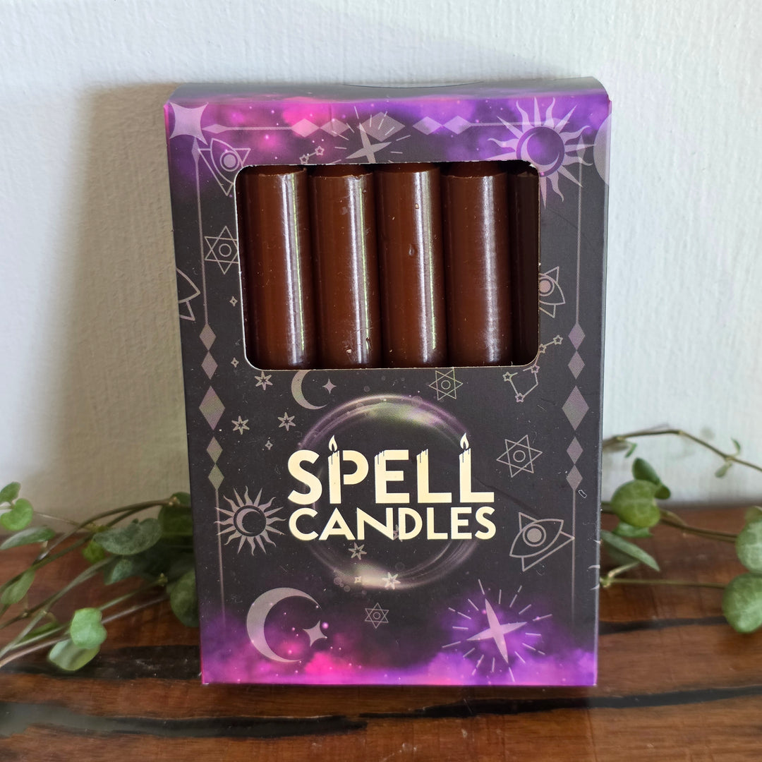 Spell Candle - Brown Box of 12