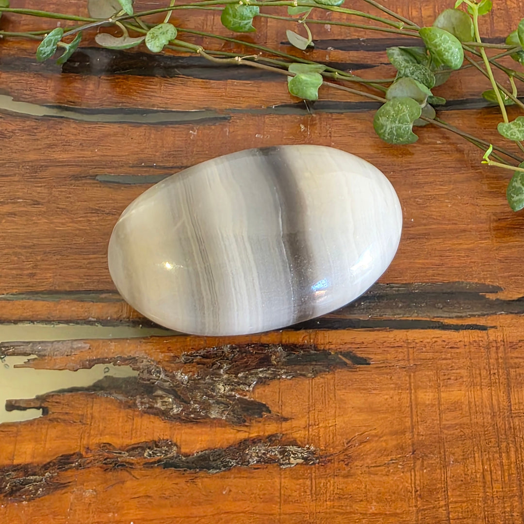 Black Banded Onyx - Palm Stone