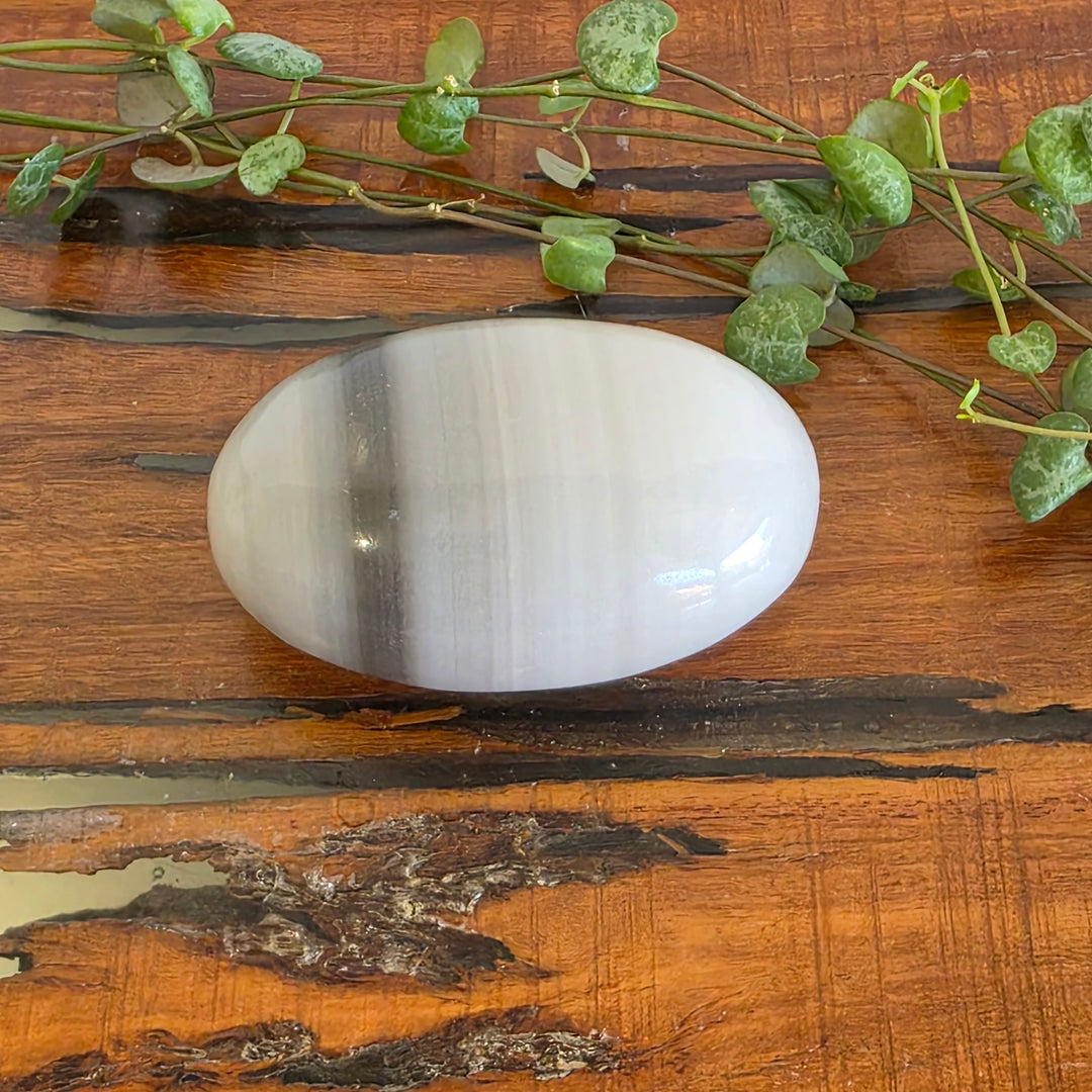 Black Banded Onyx - Palm Stone