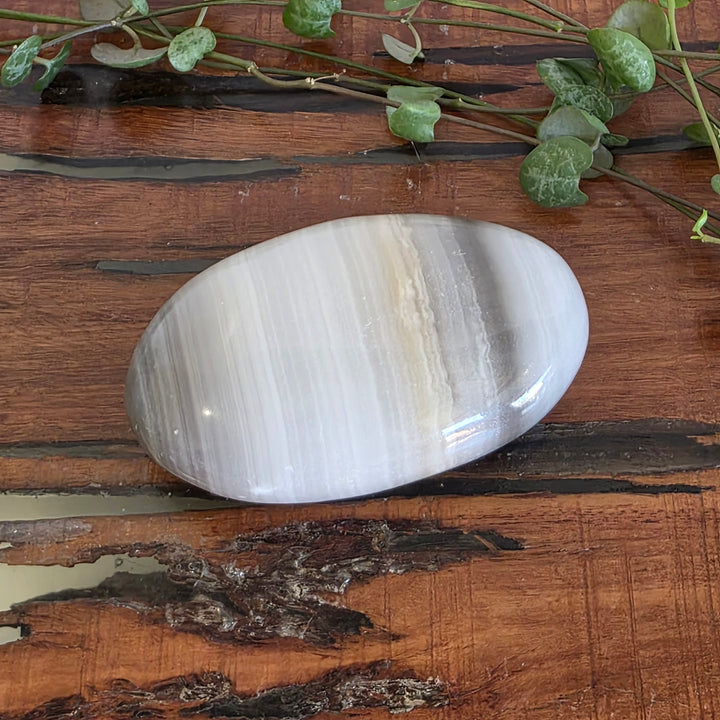 Black Banded Onyx - Palm Stone