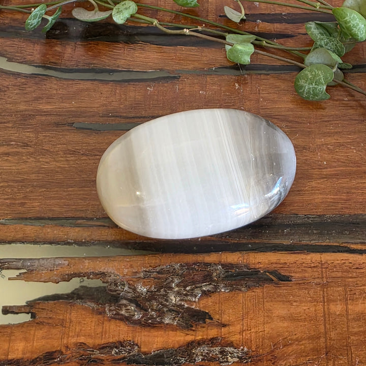 Black Banded Onyx - Palm Stone