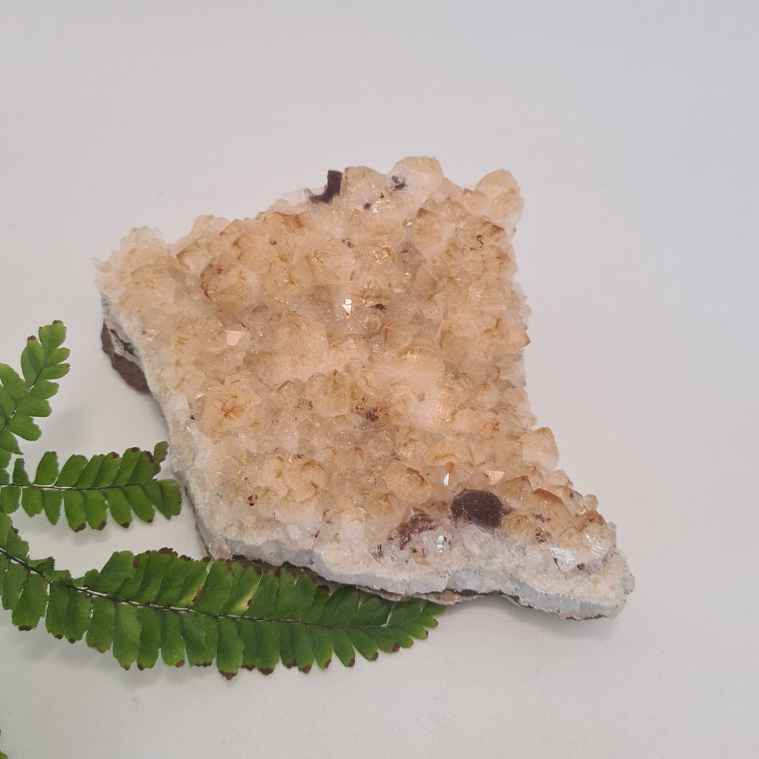Citrine - Cluster