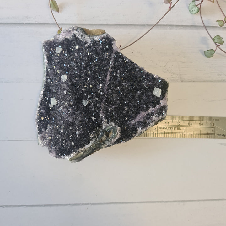 Amethyst - Cluster