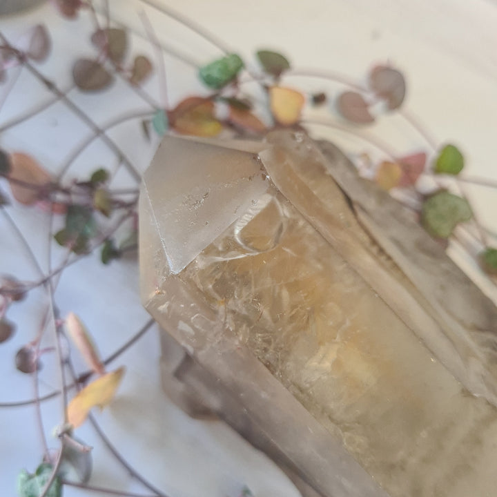 Smoky Quartz - Enhydro Cluster