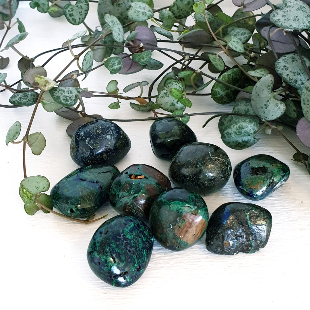 Azurite Malachite - Tumbled