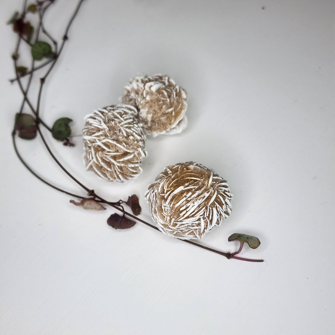 Desert Rose Selenite - Natural - Mel'z Place