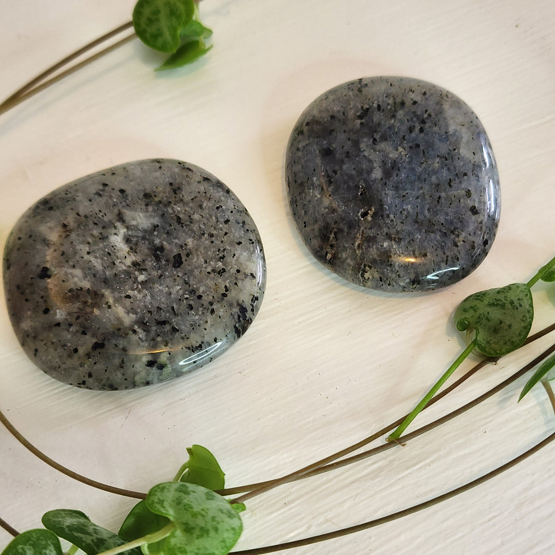 Dendritic Agate - Palm Stone