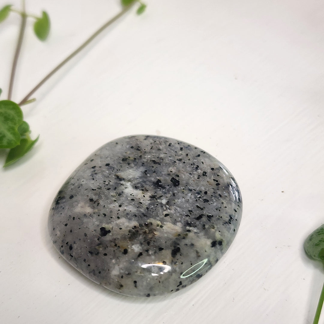 Dendritic Agate - Palm Stone