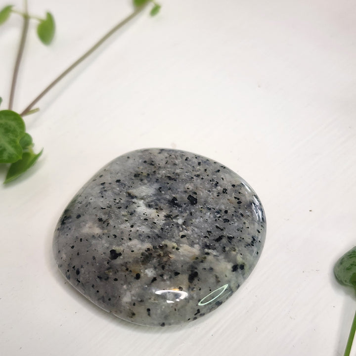 Dendritic Agate - Palm Stone