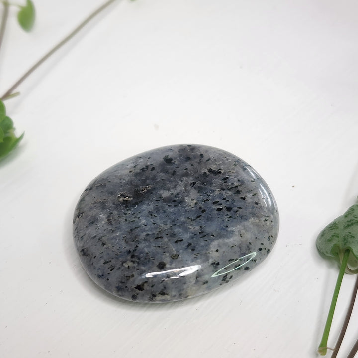 Dendritic Agate - Palm Stone